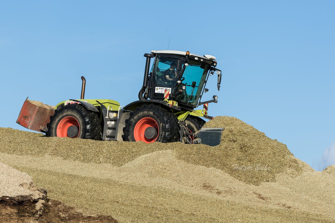 Bild 39 - Maisernte Kruppa in Fehrenbtel